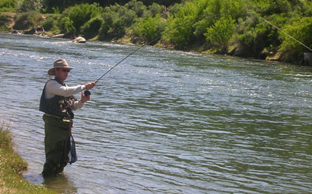 Public Water Fishing on the San Juan River, New Mexico