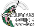 Resolution Guide Service